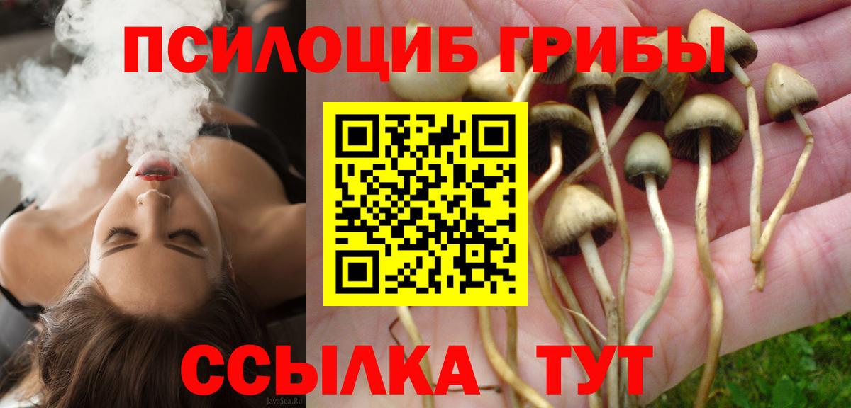 Галлюциногенные грибы GOLDEN TEACHER  Псилоцибиновые грибы ЛСД  Вход с VPN  Барабинск 
